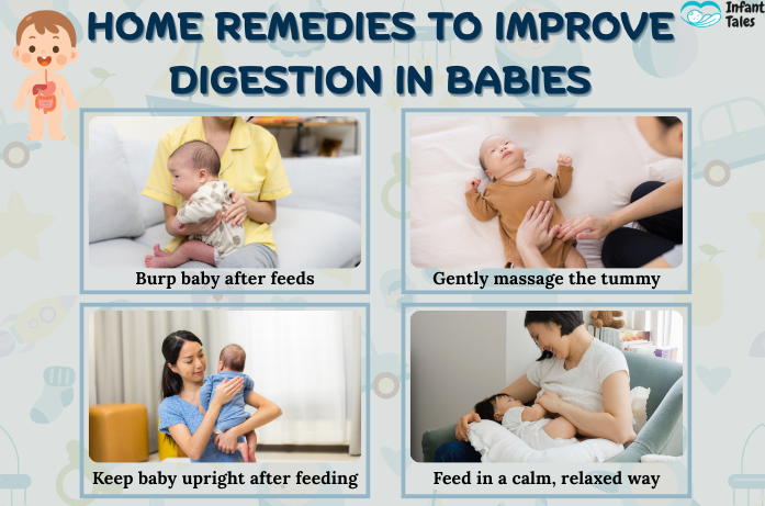 When Do Babies Digestive System Fully Developed?