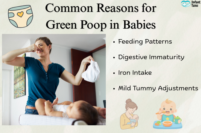 Common Reasons for Green Poop in Babies