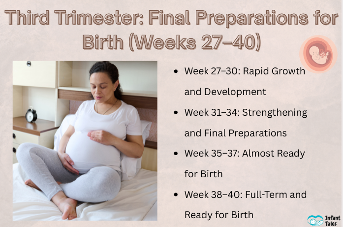 Third Trimester Final Preparations for Birth (Weeks 27–40)