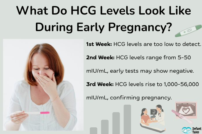 What Do HCG Levels Look Like During Early Pregnancy
