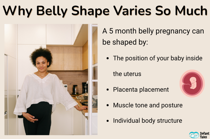 5 Month Pregnant Belly