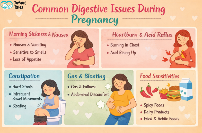 Common Digestive Issues During Pregnancy